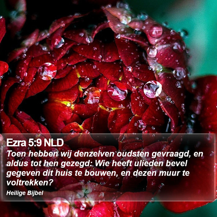 Ezra 5:9 NLD Bible Study