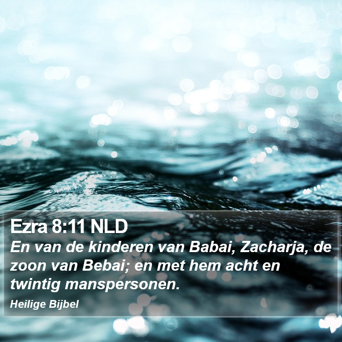 Ezra 8:11 NLD Bible Study