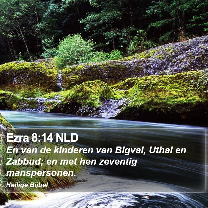 Ezra 8:14 NLD Bible Study