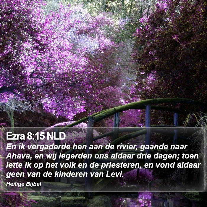 Ezra 8:15 NLD Bible Study
