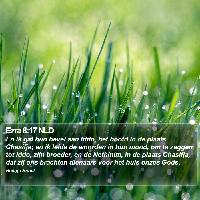 Ezra 8:17 NLD Bible Study