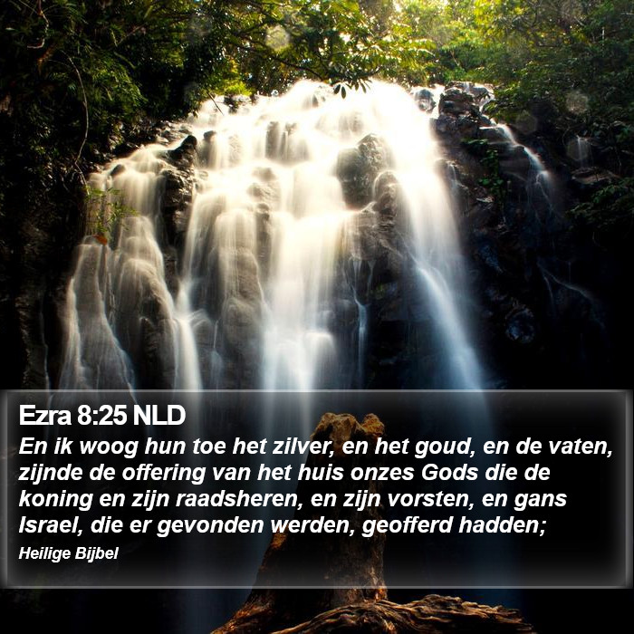 Ezra 8:25 NLD Bible Study