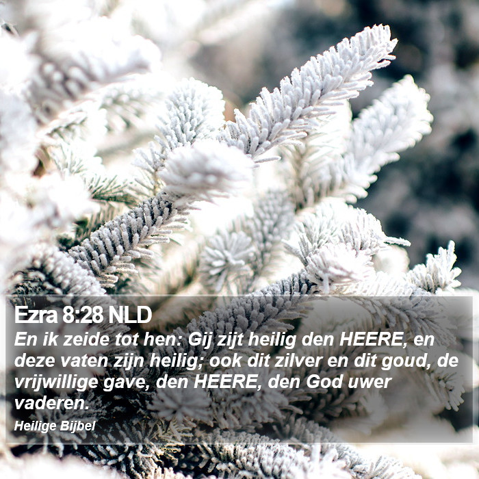 Ezra 8:28 NLD Bible Study
