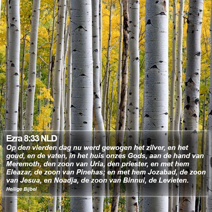 Ezra 8:33 NLD Bible Study