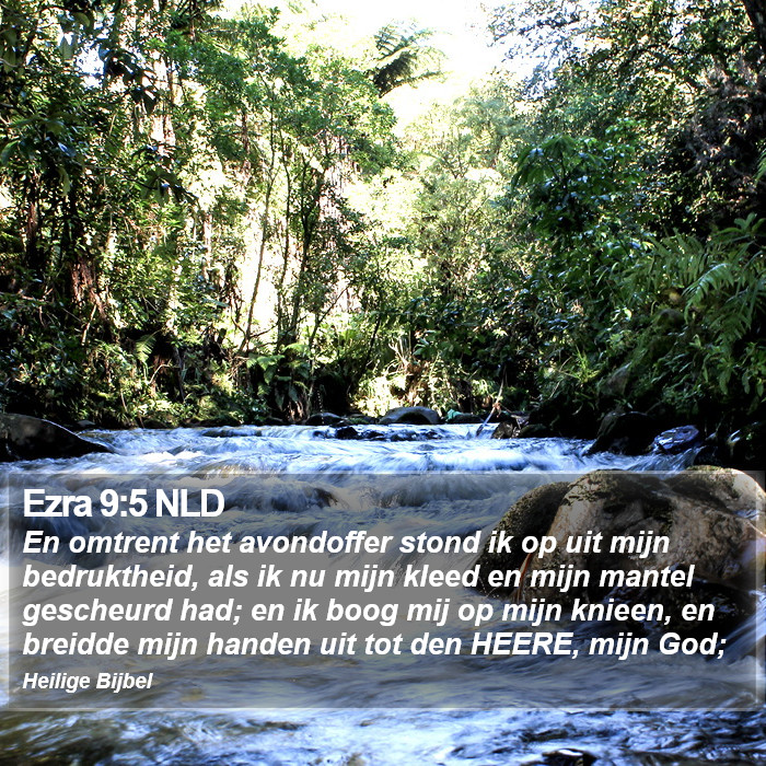 Ezra 9:5 NLD Bible Study