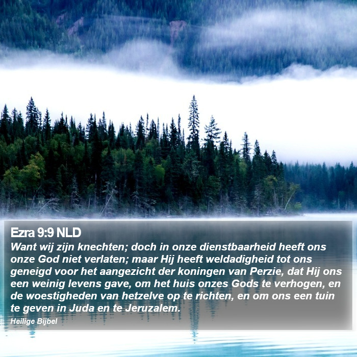 Ezra 9:9 NLD Bible Study