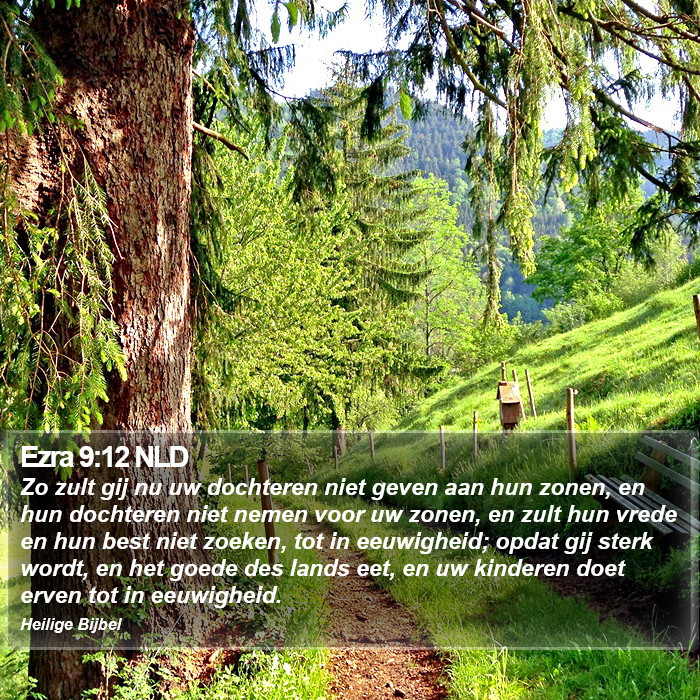 Ezra 9:12 NLD Bible Study