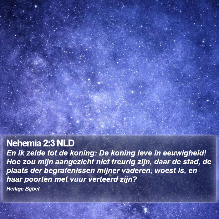 Nehemia 2:3 NLD Bible Study