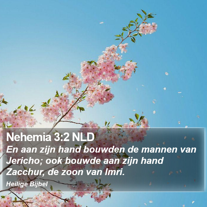 Nehemia 3:2 NLD Bible Study