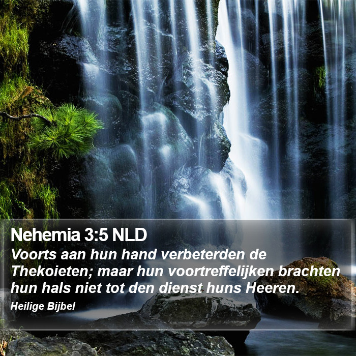 Nehemia 3:5 NLD Bible Study