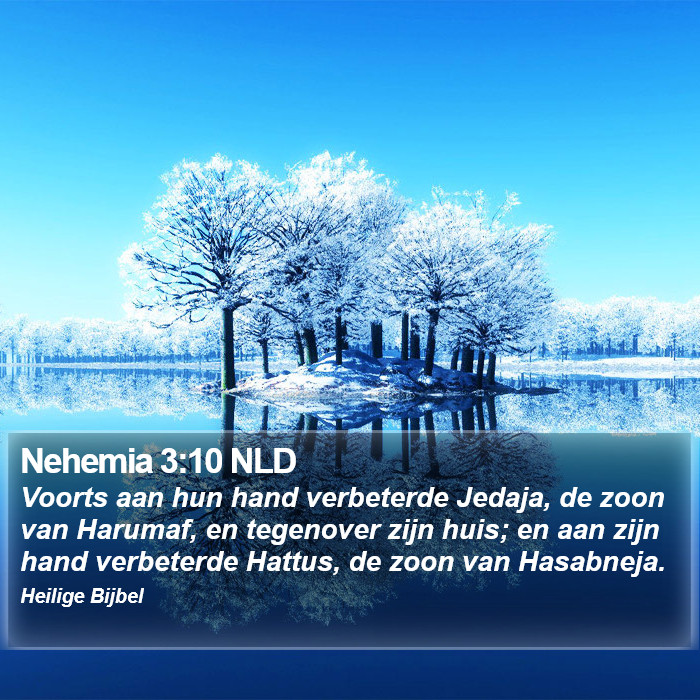 Nehemia 3:10 NLD Bible Study