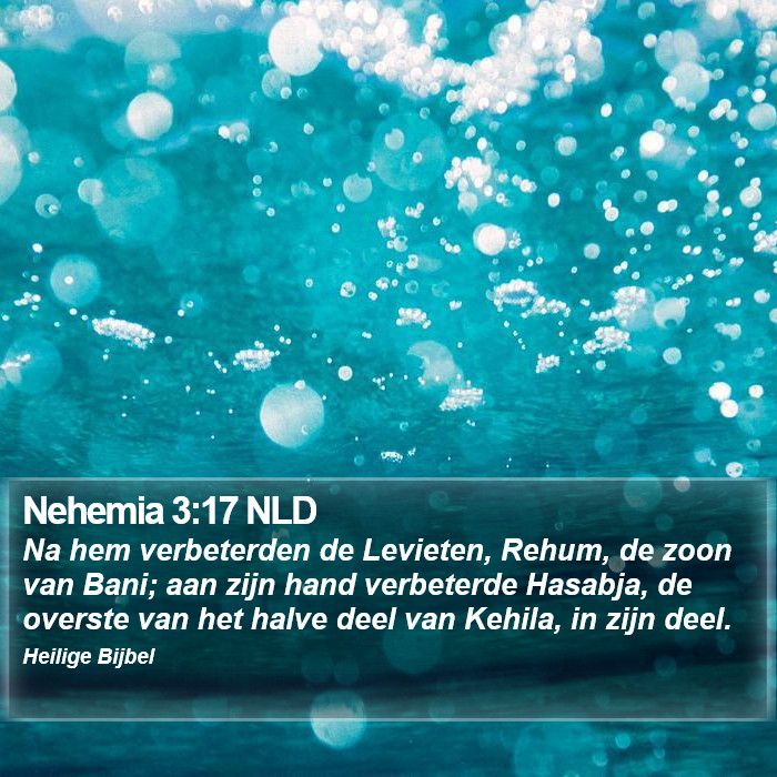 Nehemia 3:17 NLD Bible Study
