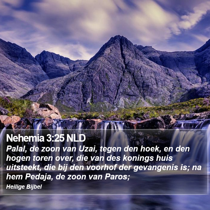 Nehemia 3:25 NLD Bible Study