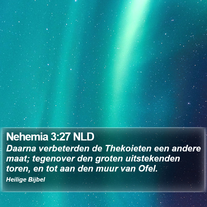 Nehemia 3:27 NLD Bible Study