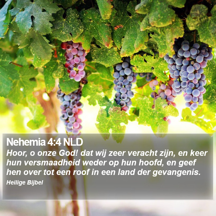 Nehemia 4:4 NLD Bible Study