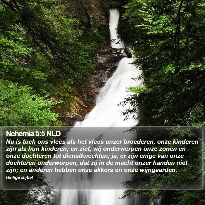 Nehemia 5:5 NLD Bible Study