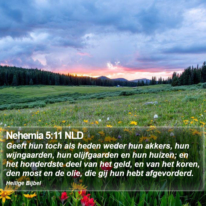 Nehemia 5:11 NLD Bible Study