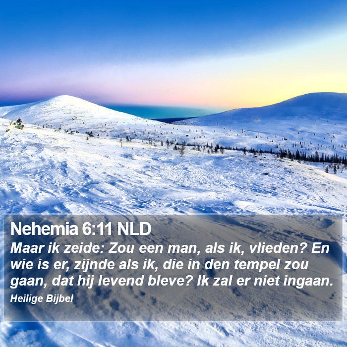 Nehemia 6:11 NLD Bible Study