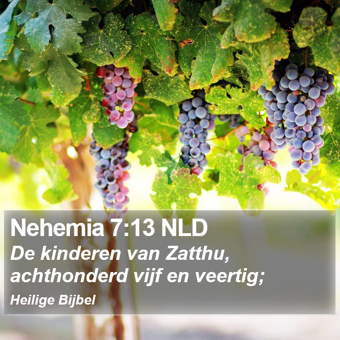 Nehemia 7:13 NLD Bible Study