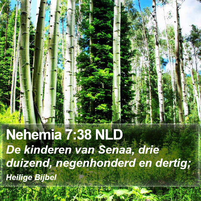 Nehemia 7:38 NLD Bible Study