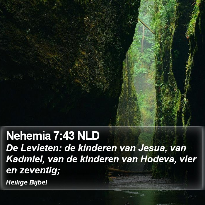 Nehemia 7:43 NLD Bible Study
