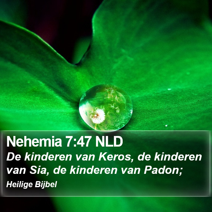 Nehemia 7:47 NLD Bible Study