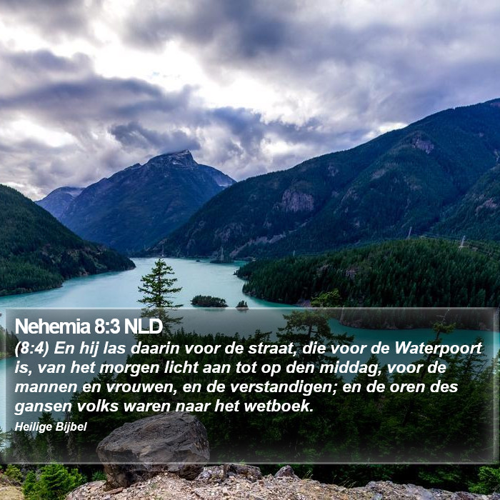Nehemia 8:3 NLD Bible Study