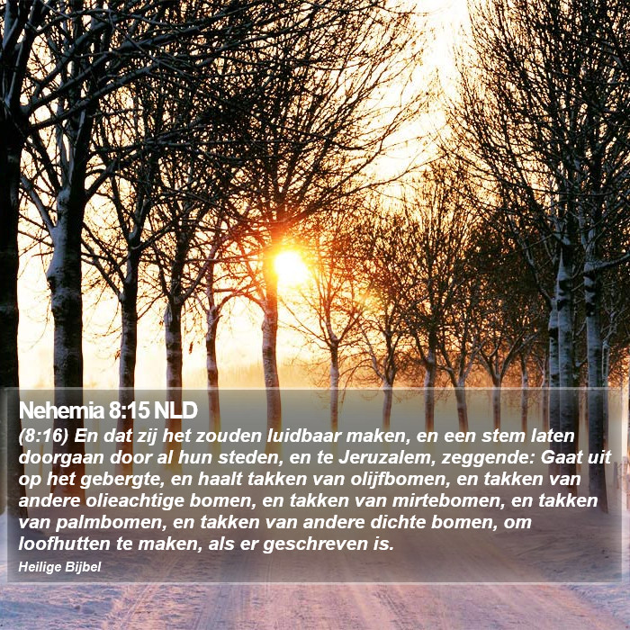 Nehemia 8:15 NLD Bible Study