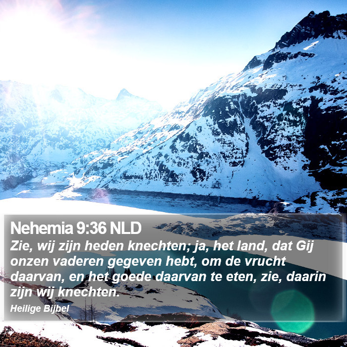 Nehemia 9:36 NLD Bible Study