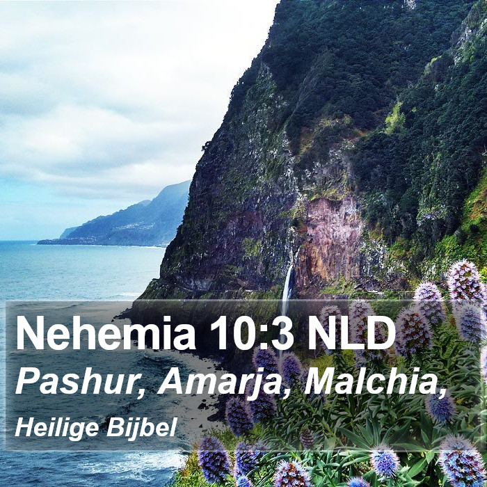 Nehemia 10:3 NLD Bible Study