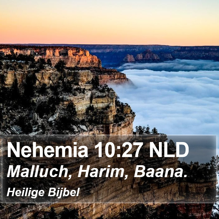 Nehemia 10:27 NLD Bible Study