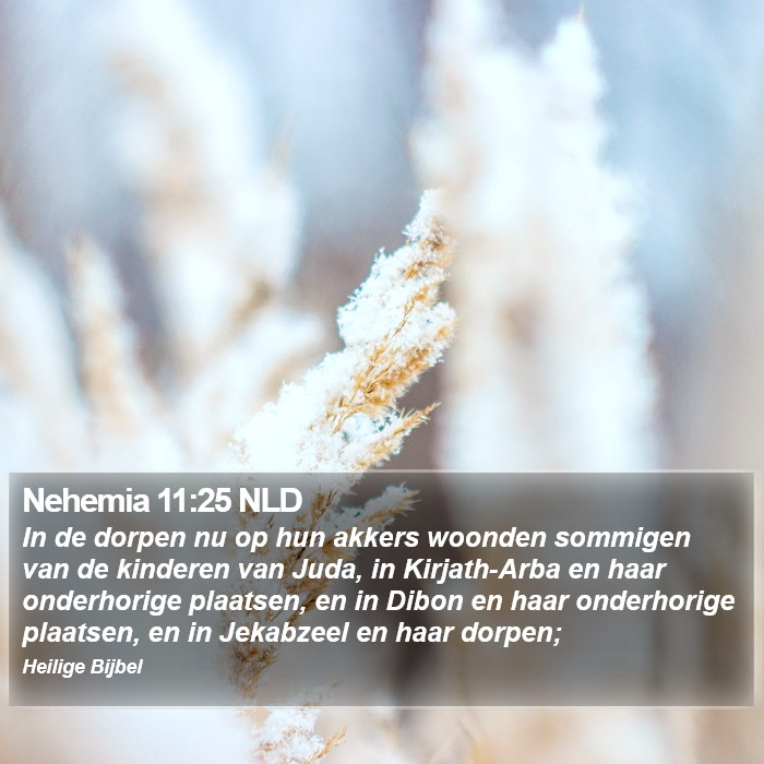 Nehemia 11:25 NLD Bible Study