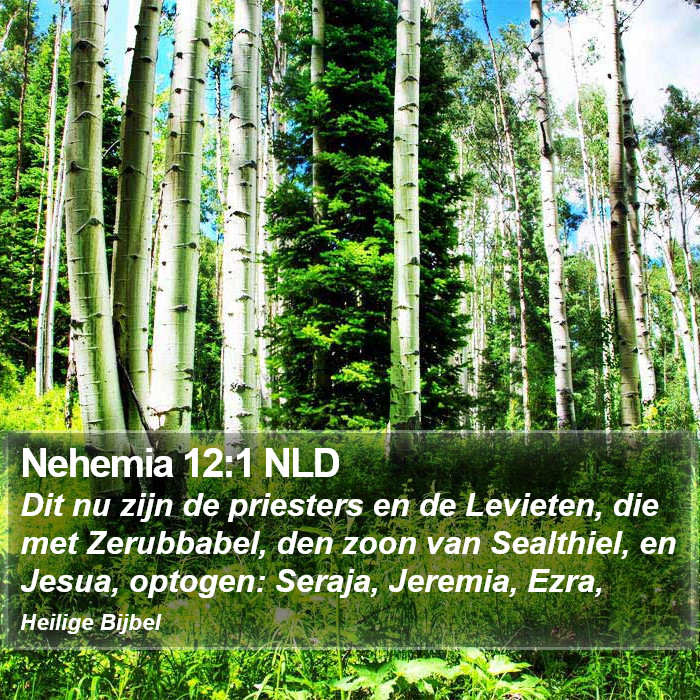 Nehemia 12:1 NLD Bible Study
