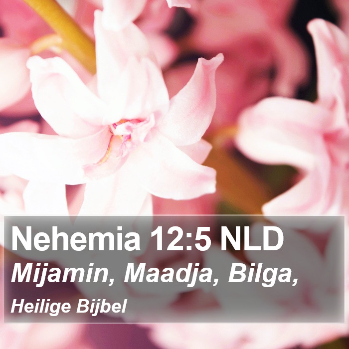 Nehemia 12:5 NLD Bible Study