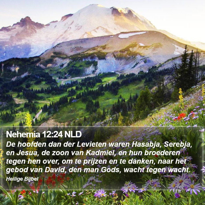 Nehemia 12:24 NLD Bible Study