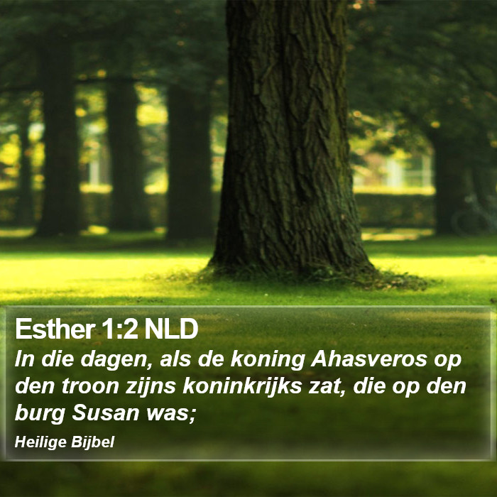 Esther 1:2 NLD Bible Study