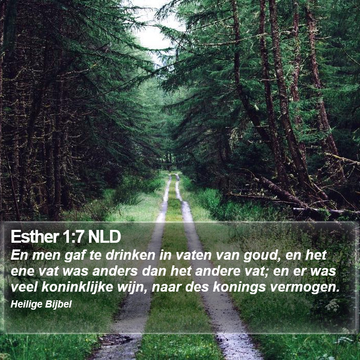 Esther 1:7 NLD Bible Study