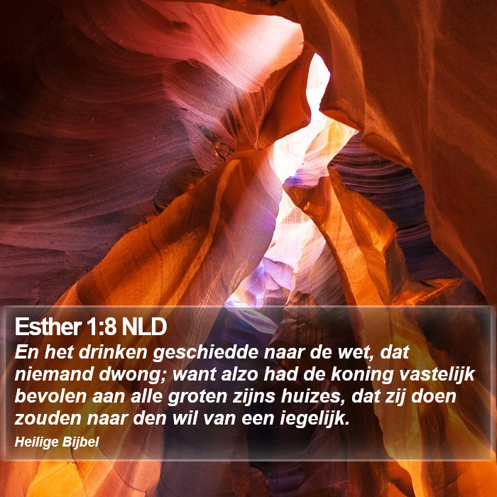 Esther 1:8 NLD Bible Study