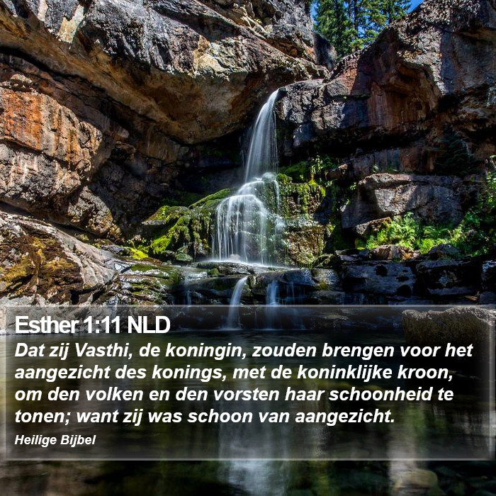 Esther 1:11 NLD Bible Study