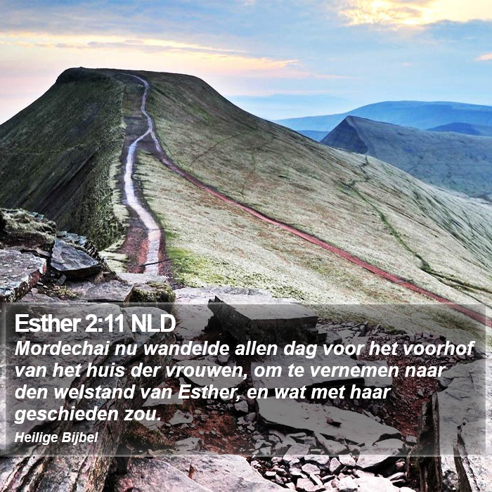 Esther 2:11 NLD Bible Study