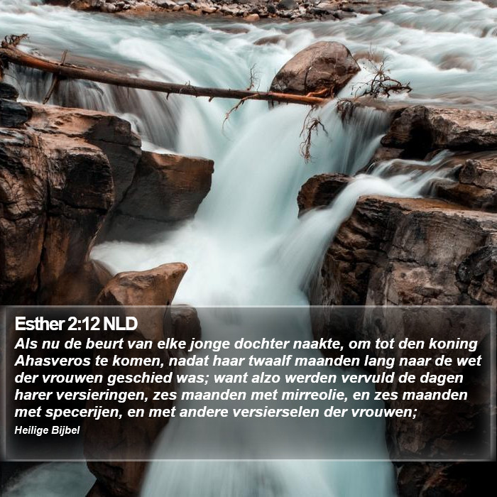 Esther 2:12 NLD Bible Study