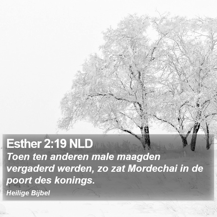 Esther 2:19 NLD Bible Study