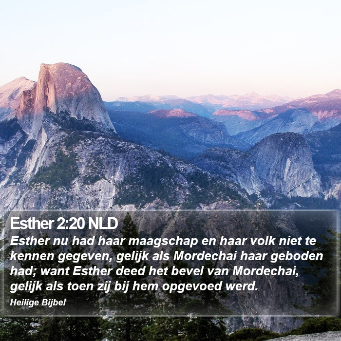 Esther 2:20 NLD Bible Study