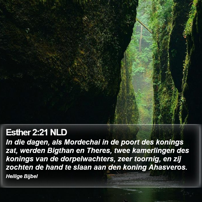 Esther 2:21 NLD Bible Study