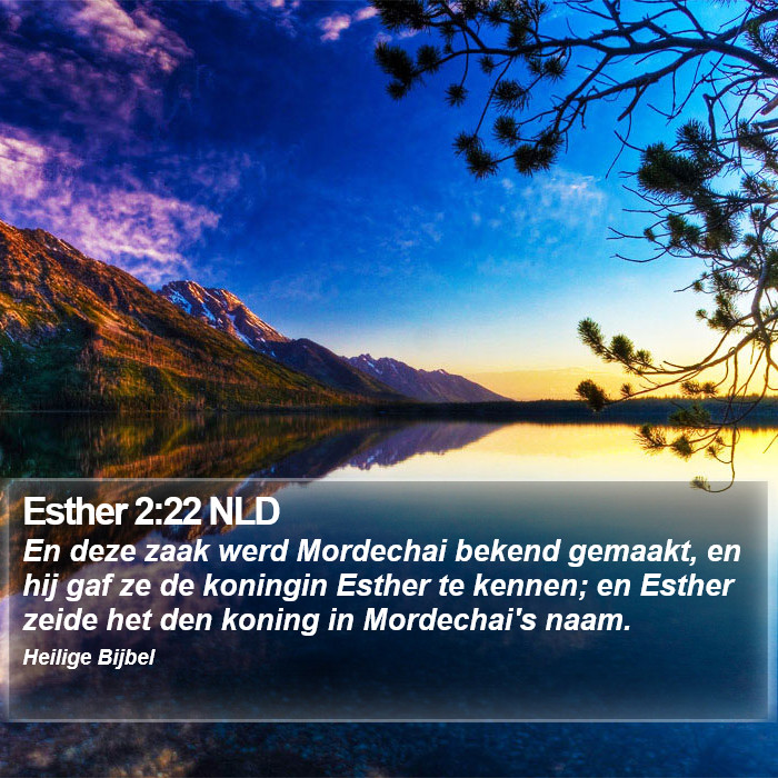 Esther 2:22 NLD Bible Study