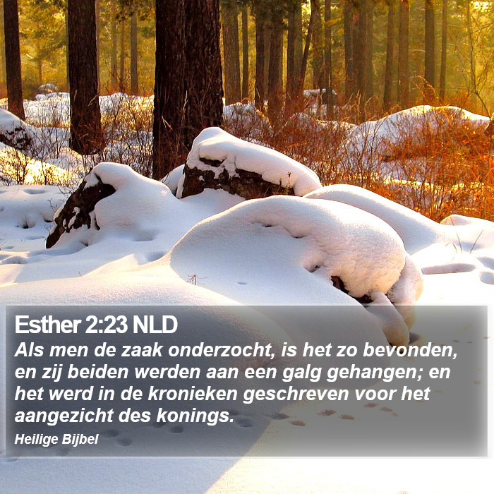 Esther 2:23 NLD Bible Study
