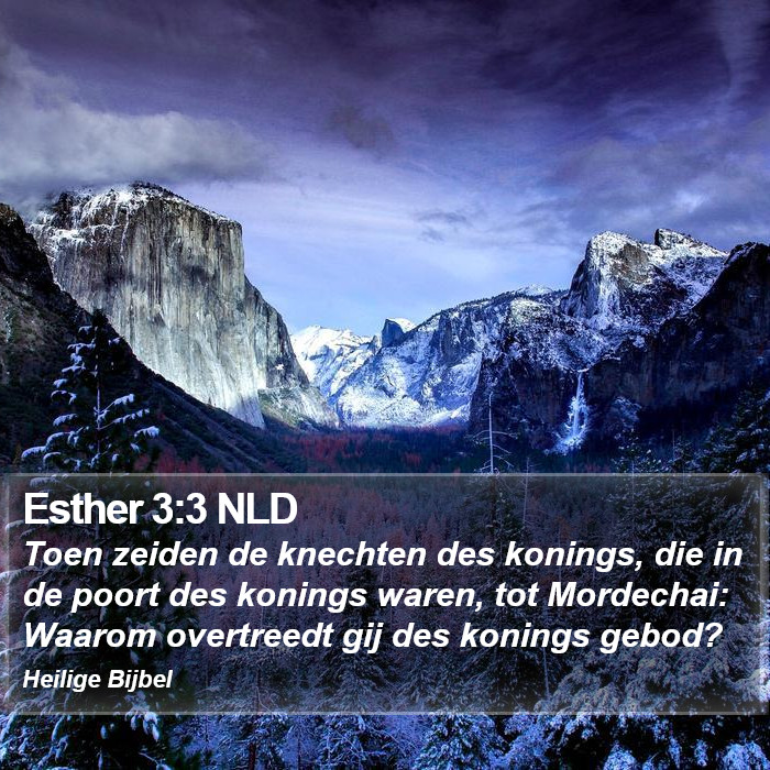 Esther 3:3 NLD Bible Study