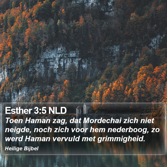 Esther 3:5 NLD Bible Study