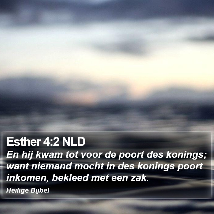 Esther 4:2 NLD Bible Study