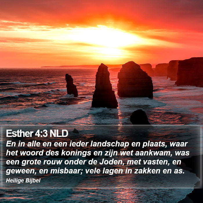 Esther 4:3 NLD Bible Study